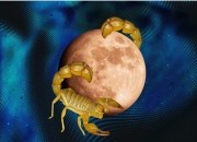 Calendário lunar para maio 2025: os melhores dias do mês